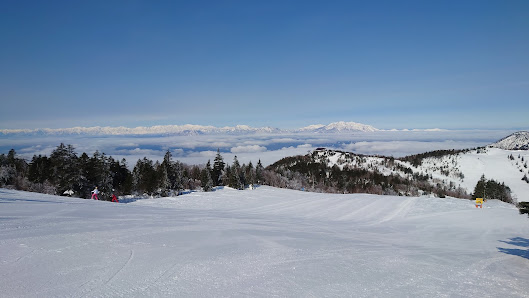 Winter scene at Shiga Kogen Nishitateyama Ski Area in Japan, featuring bustling ski resort activities, a charming chalet, and beautiful winter scenery with snow-covered slopes.
