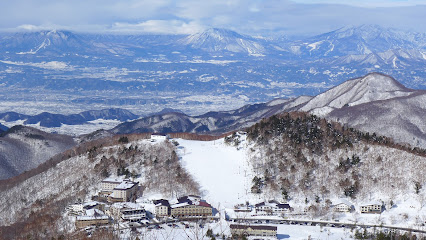 An image of the Shiga Kogen Nishitateyama Ski Area in Japan: a bustling ski resort set in breathtaking winter scenery with skiers on the slopes of snow-clad mountain.
