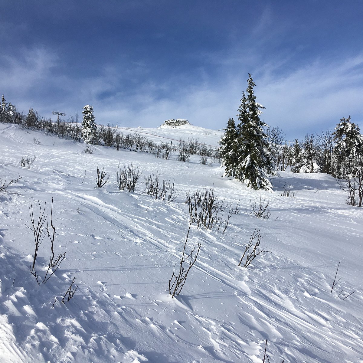Praděd | ​Myšák – Malá Morávka in Czech Republic - a snow covered hill with trees and a blue sky.