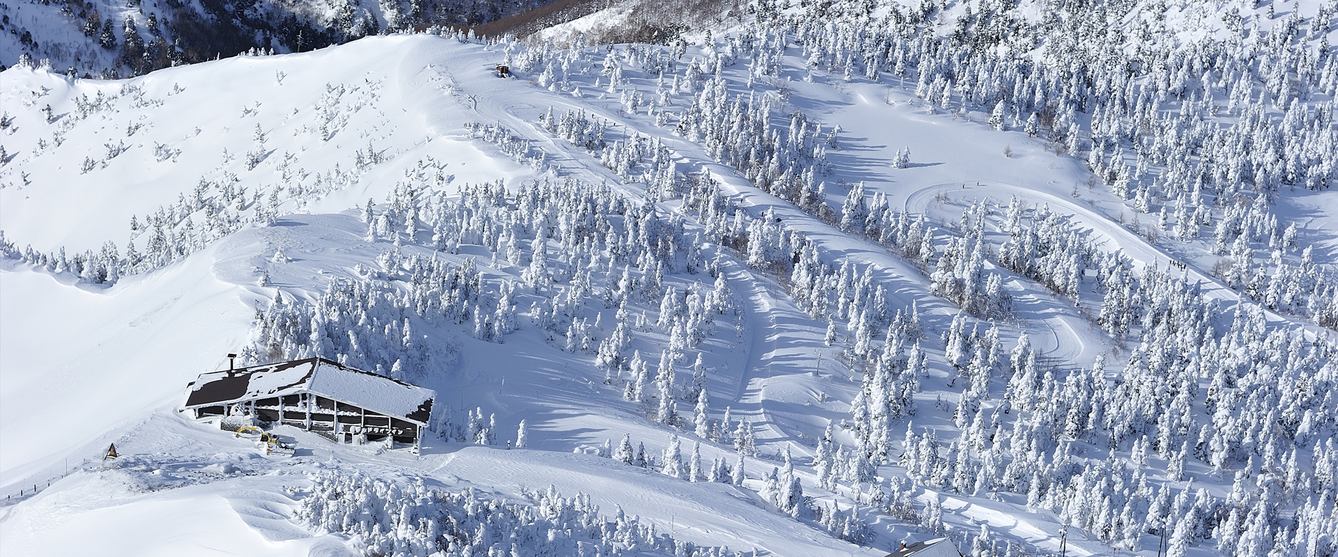Yokoteyama-Shibutoge in Japan - a ski slope covered in snow and trees.