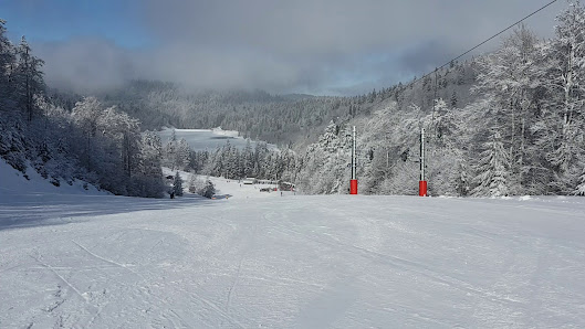 Winter scene at La Bresse-Hohneck in France, featuring a bustling ski resort with a charming chalet and numerous skiers enjoying the snowy slopes.