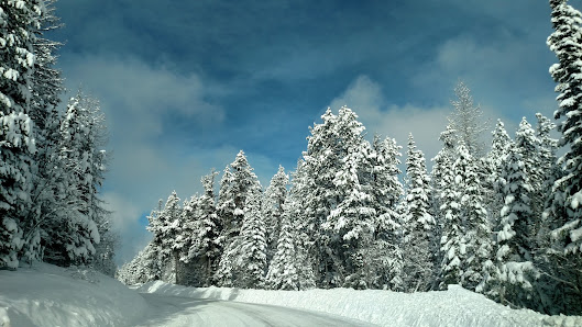 Winter landscape at Blacktail Mountain, Lakeside, Montana, showcasing a ravishing snow-covered scenery ideal for winter sports.