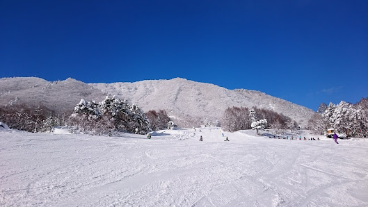 A scenic view of the X-JAM Takaifuji winter sports centre in Nagano, Japan. The image captures a vibrant winter sports scene with skiers amidst a stunning snowy landscape with ski trails.