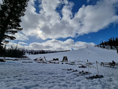 Winter view of Klövsjö-Storhogna ski area in Northern Sweden, featuring snow-covered mountain slopes bustling with winter sports activity, a quaint chalet nestled among the trees, amidst stunning winter scenery.