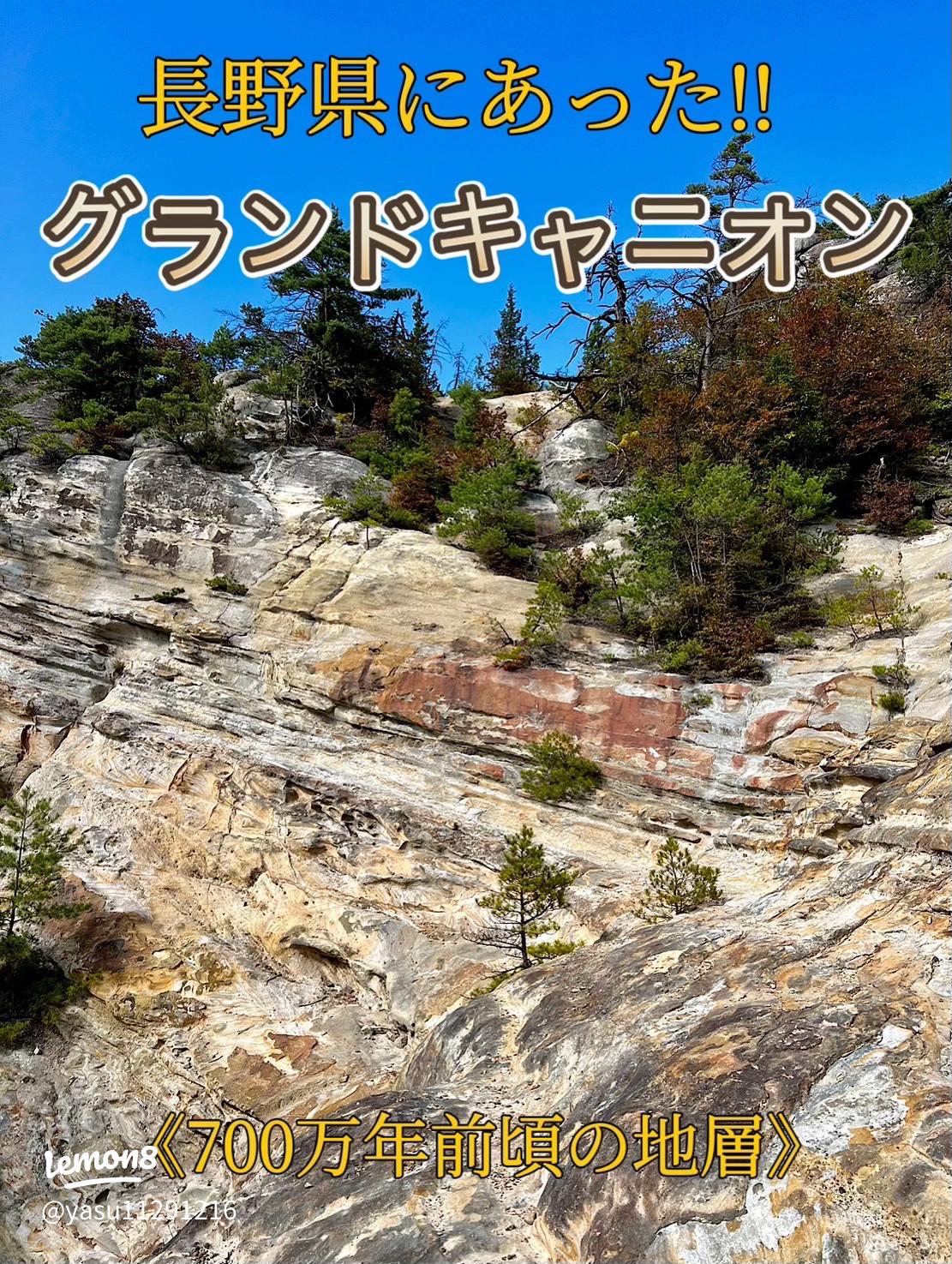 Shiga Kogen Higashitateyama in Japan - the cover of a book with a mountain in the background.