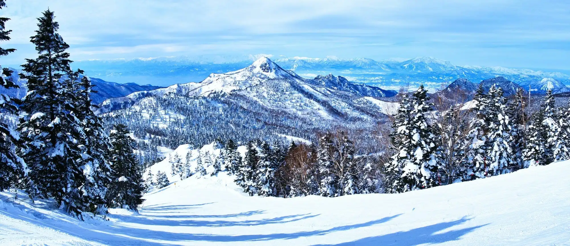 Shiga Kogen Higashitateyama in Japan - a snow covered mountain with trees and mountains in the background.