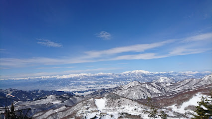 A picturesque winter scene at Shiga Kogen Higashitateyama ski resort in Japan, showcasing a majestic mountain under a blanket of snow.
