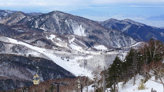 View of Shiga Kogen Higashitateyama ski resort in Japan, featuring a stunning winter panorama with snow-covered slopes, encapsulating the adrenaline-filled vibe of winter sports.
