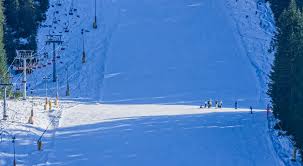 Winter sports scene in Sappada, Italy with a skier descending a snowy slope, traditional chalet in the background, part of a vibrant ski resort.