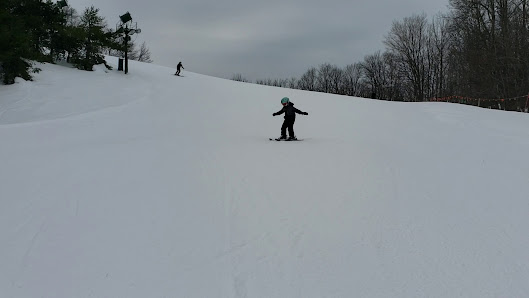 A snowboarder takes to the slopes at Nub's Nob Ski Area in Harbor Springs Michigan. The snow glistens under the sky creating a beautiful winter landscape for winter sports enthusiasts.