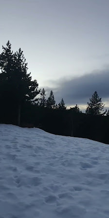 A skier enjoying a winter sport at the snowy Puigmal Mountain in Pyrénées-Orientales, France as part of a bustling ski resort.