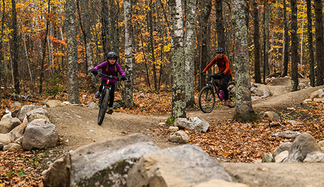 A mountain biker is taking on an adventurous ride at Giants Ridge in Biwabik Minnesota USA. Surrounded by natural scenery the rider pedals hard on the trail.