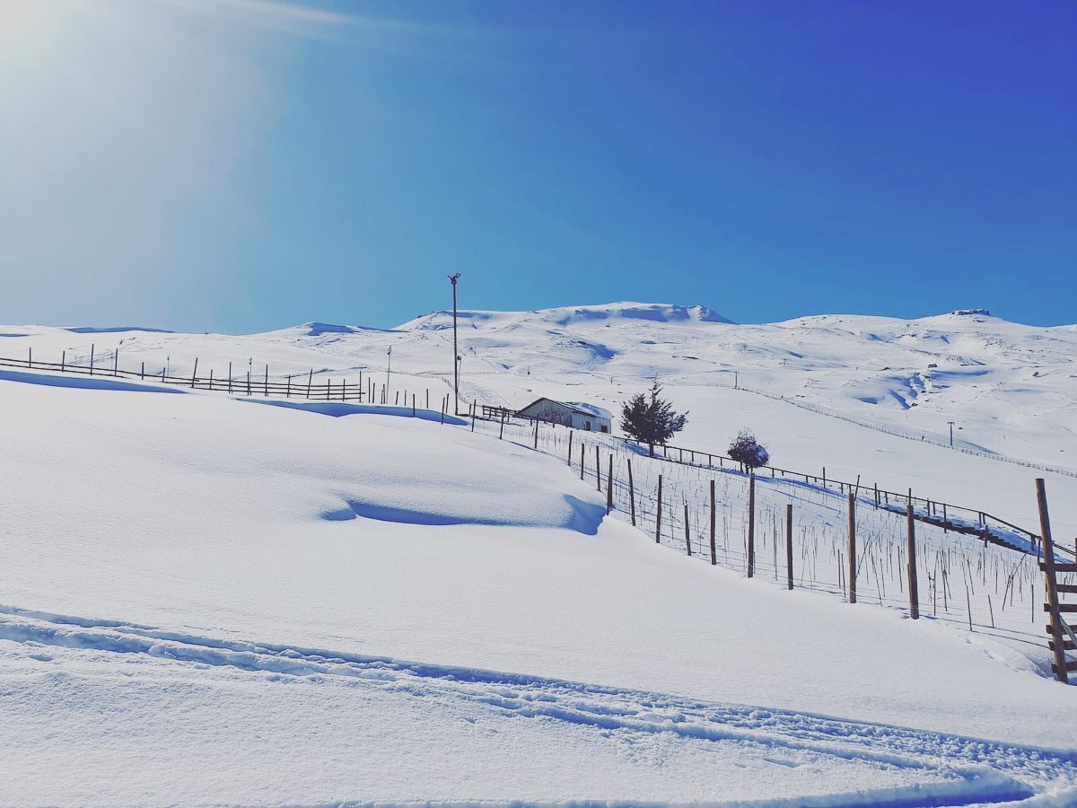 Chapa Verde in Chile - a fence in the snow.