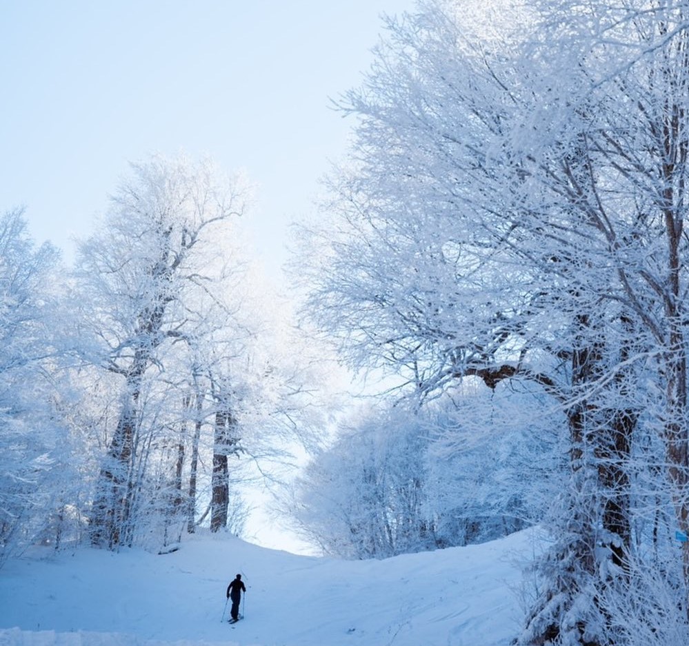 Winter panorama at Middlebury Snowbowl in Hancock, Vermont featuring a picturesque snowy landscape with active winter sports in progress.