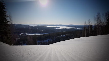 A skier takes a break on a snowy slope in Bjursås Skicenter, Sweden. The winter landscape is adorned with a picturesque chalet and scattered pine trees, beckoning winter sports enthusiasts.