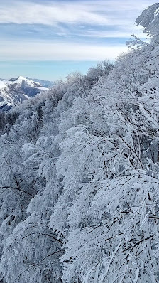 Breathtaking winter scenery at Monte Catria, Italy, featuring a chalet nestled amongst snow-covered trees with a vast mountain backdrop.