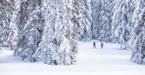 Winter sports scene at Autrans-Méaudre ski resort in Isère, Grenoble, France. A family enjoys skiing amidst the stunning winter scenery in Auvergne-Rhône-Alpes region.
