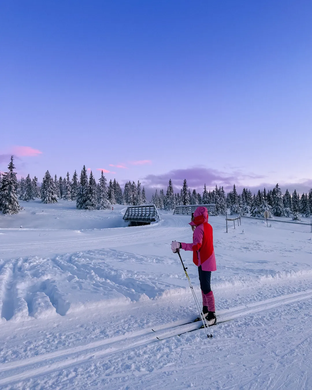 Sjusjøen in Norway - a person in a red jacket skiing down a hill.