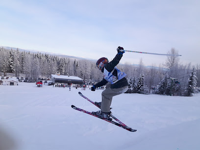A skier gliding down snow-covered Tabor Mountain in Fraser-Fort George, Prince George, British Columbia. Surrounding winter sports scenery contributes to the ambiance of the ski resort.