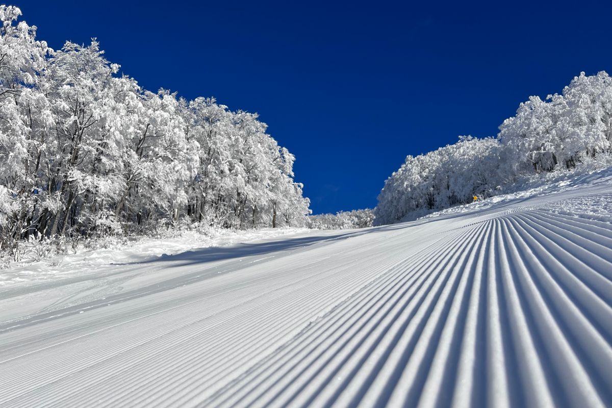 Muikamachi Hakkaisan in Japan - a ski slope with trees covered in snow.