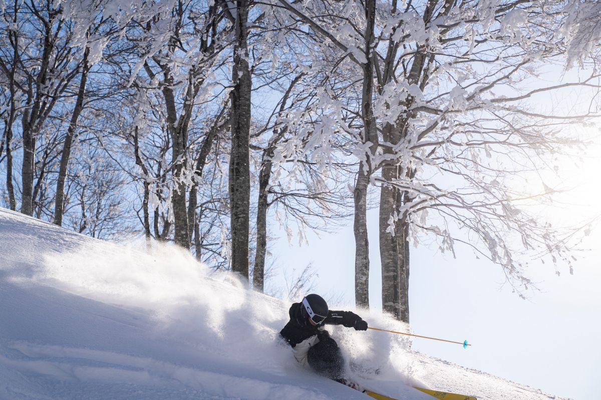 Muikamachi Hakkaisan in Japan - a person is skiing down a snowy hill.