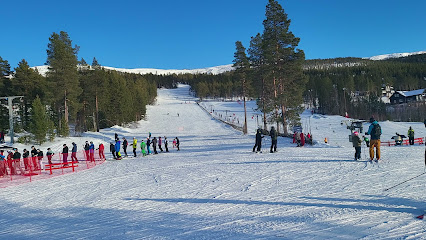 Winter scene at Björnrike ski resort in Northern Sweden, showcasing a group of people engaging in winter sports amid the snow-clad landscapes.