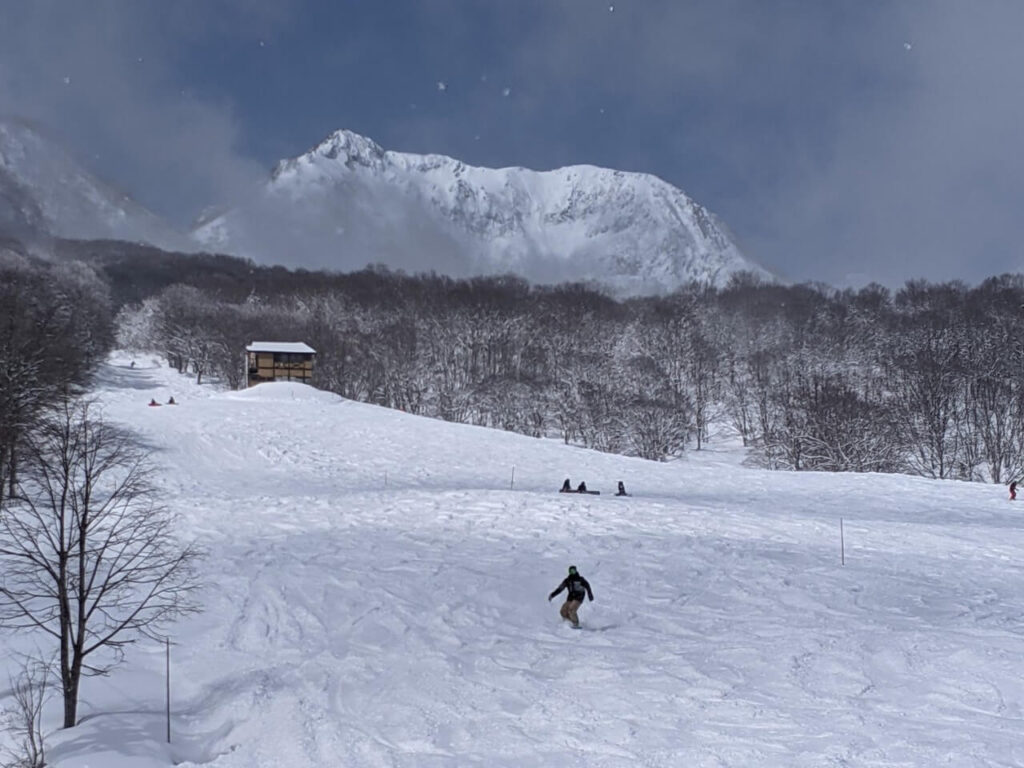 Kurobushi Kogen Snow Park Jangle Jungle in Japan - a group of people skiing down a mountain.