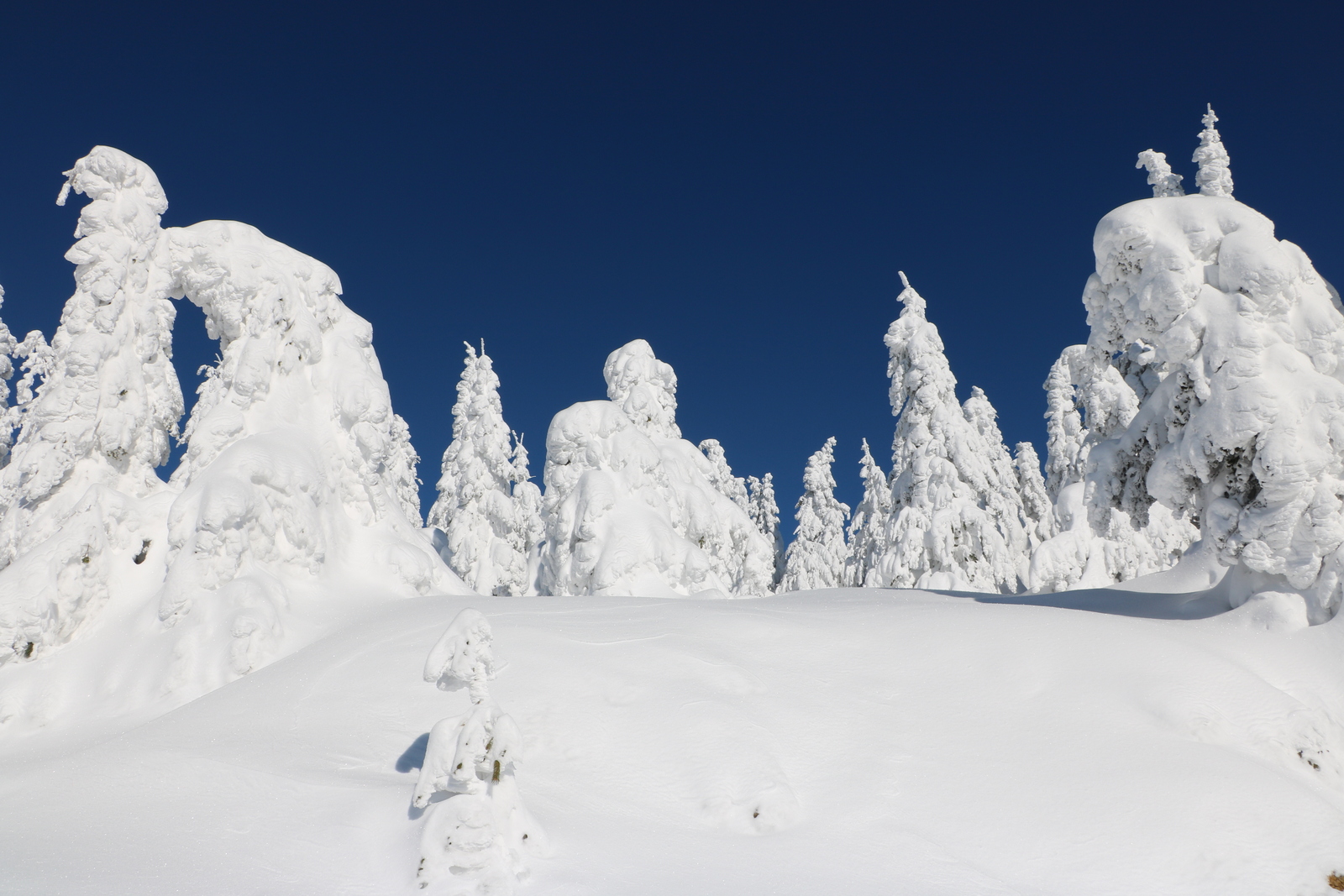 Ilgaz Yurduntepe Kayak Merkezi in Turkey - a clear blue sky.