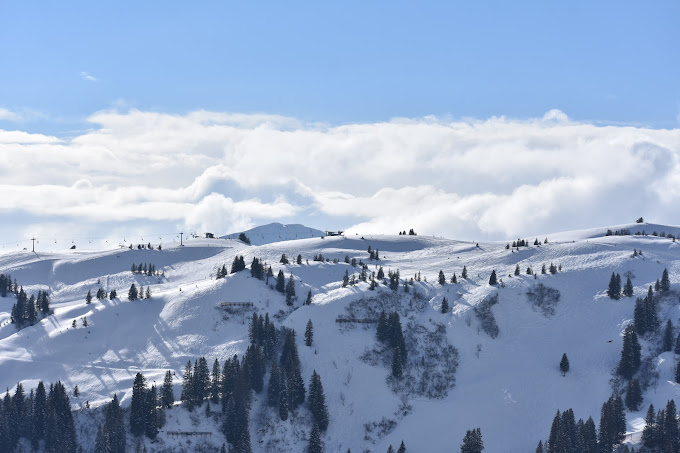 Damüls Mellau in Austria - a ski slope covered in snow and trees.