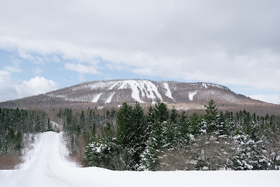 Winter scene at Mont Comi in Quebec, Canada, showing a snow-covered mountain busy with winter sports activities, a popular ski resort surrounded by snowy slopes.
