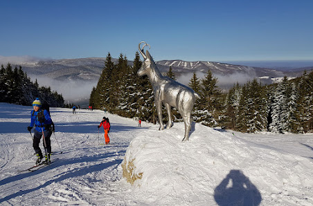A winter sports scene at Bonera Ski areál Ramzová in Branná, Czech Republic, featuring a skier on the slopes, surrounded by a snowy landscape and a distant challet.