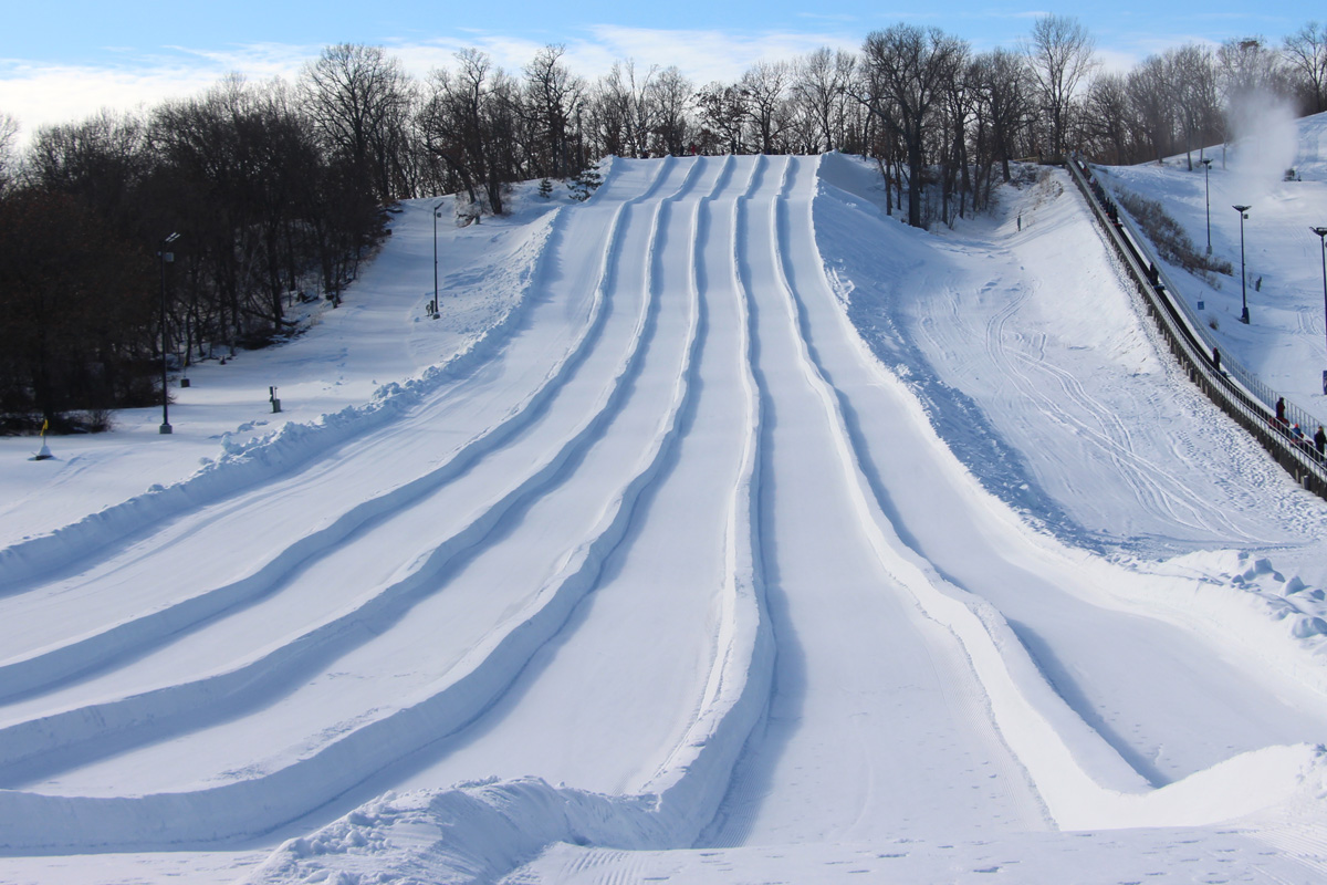 Whitetail in USA - tracks in the snow.