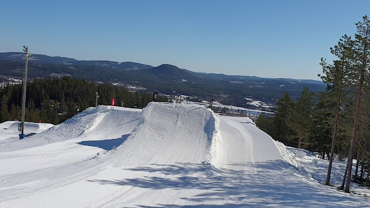 Skiers enjoy a day on Järvsöbacken a ski resort in Järvsö Central Sweden offering picturesque views of the surrounding snow-covered mountains.