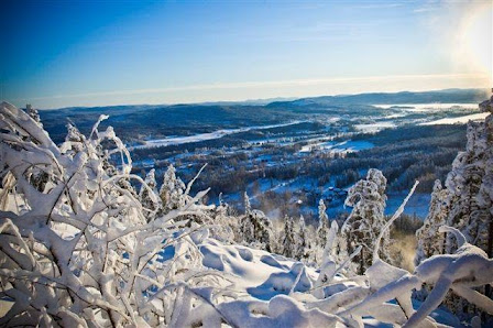 Scenic winter landscape at Järvsöbacken ski resort in Central Sweden, featuring snow-covered slopes bustling with winter sports activities.