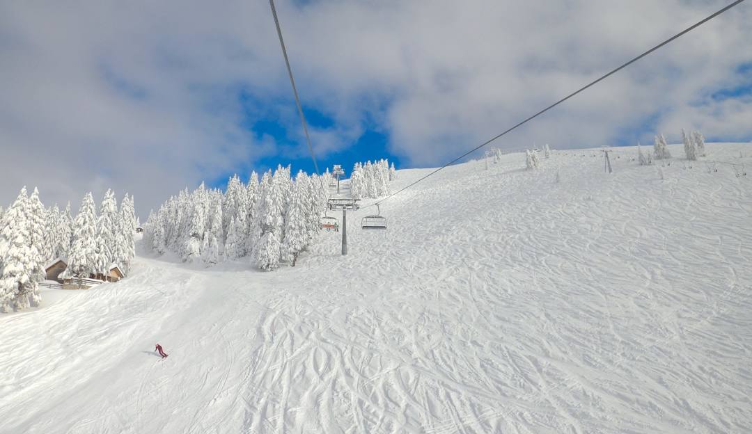 Rogla in Slovenia - a snow covered ski slope with trees in the background.