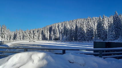 Winter scene at Rogla, Slovenia featuring a beautiful snow-covered landscape, a buzzing winter sports area with skiers, and a charming, cozy chalet nestled among frosty trees.