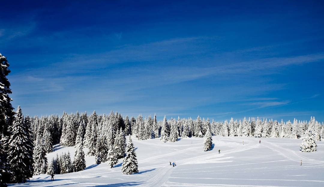 View of Rogla in Slovenia, featuring a vibrant winter sports scene at a ski resort, with beautiful snowy surroundings. A chalet can be seen in the distance, adding to the stunning winter scenery.