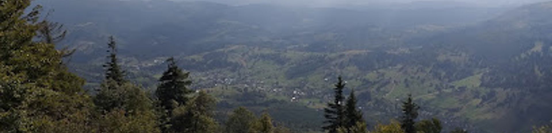 Pylypets Sky & Bike Park in Ukraine - a view from the top of a mountain.