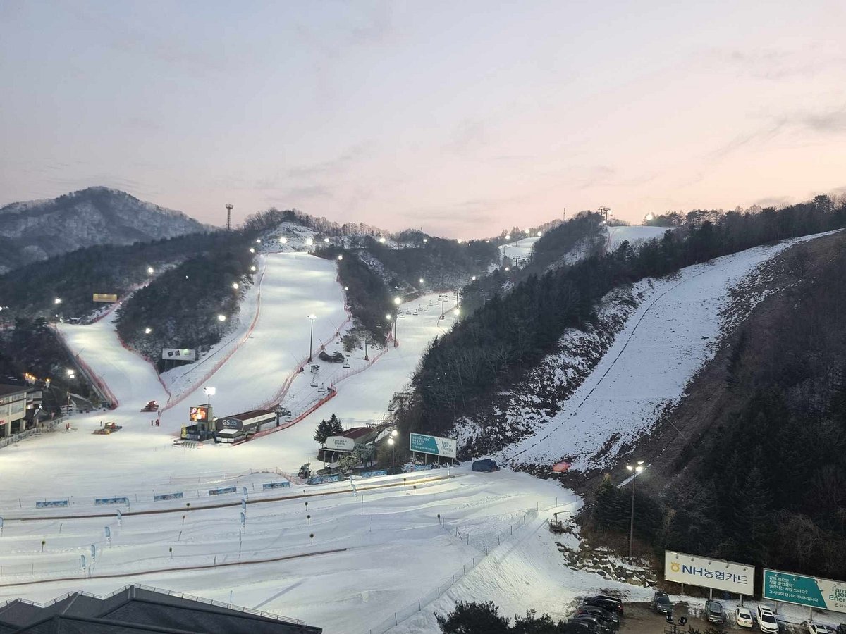 Elysian Gangchon Resort in South Korea - a ski slope covered in snow at night.