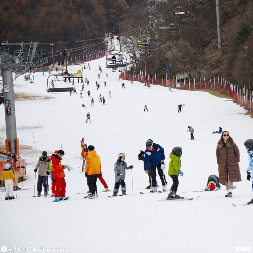 Elysian Gangchon Resort in South Korea - a group of people skiing down a hill.