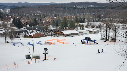 Winter scene at Shanty Creek Resorts – Schuss Mountain in Michigan, showcasing the ski resort, ski lift, a skier, and the snowy landscape typical of a winter sports centre.