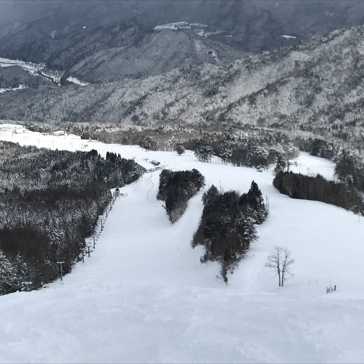 Hida Funayama Snow Resort Arkopia in Japan - a view from the top of a snowy mountain.