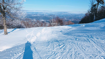 A skier glides down the snowy slopes of Tenney Mountain in Plymouth, New Hampshire, with a charming chalet and stunning winter scenery in the background.