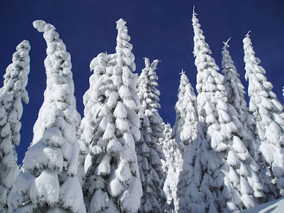 A picturesque winter scene at Mt. Ashland Oregon showcasing a bustling winter sports scene amidst intricate snow-covered trees. The landscape of the ski resort displays breathtaking winter scenery.