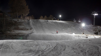 A skier in action at the Sportbahnen Eischoll Augstbordregion ski resort in Eischoll Valais Switzerland enjoying the winter sports scene with a chalet visible in the background.