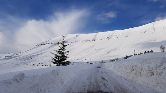 A beautiful winter scene in Cedars Bsharri, Lebanon featuring a charming chalet amidst a stunning, snow-covered landscape featuring mountains and winter sports scene.