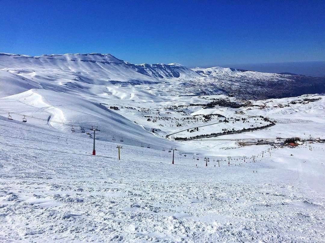 Cedars Bsharri in Lebanon - the view from the top of the mountain.
