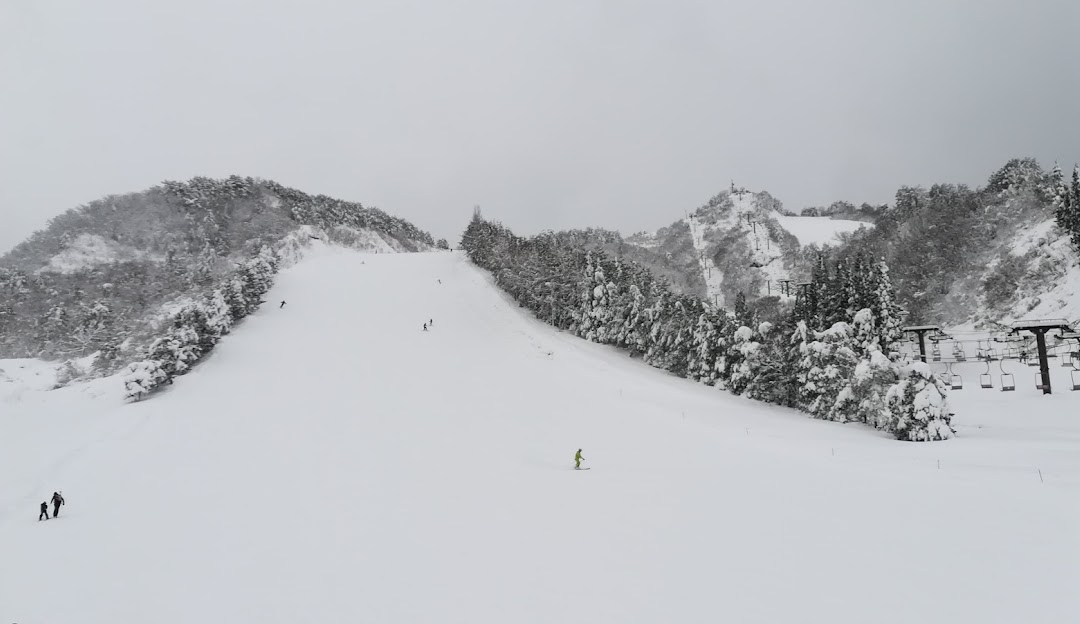 A skier enjoying winter sports at a ski resort in Tainai Niigata Japan with a chalet and scenic mountains visible in the background.