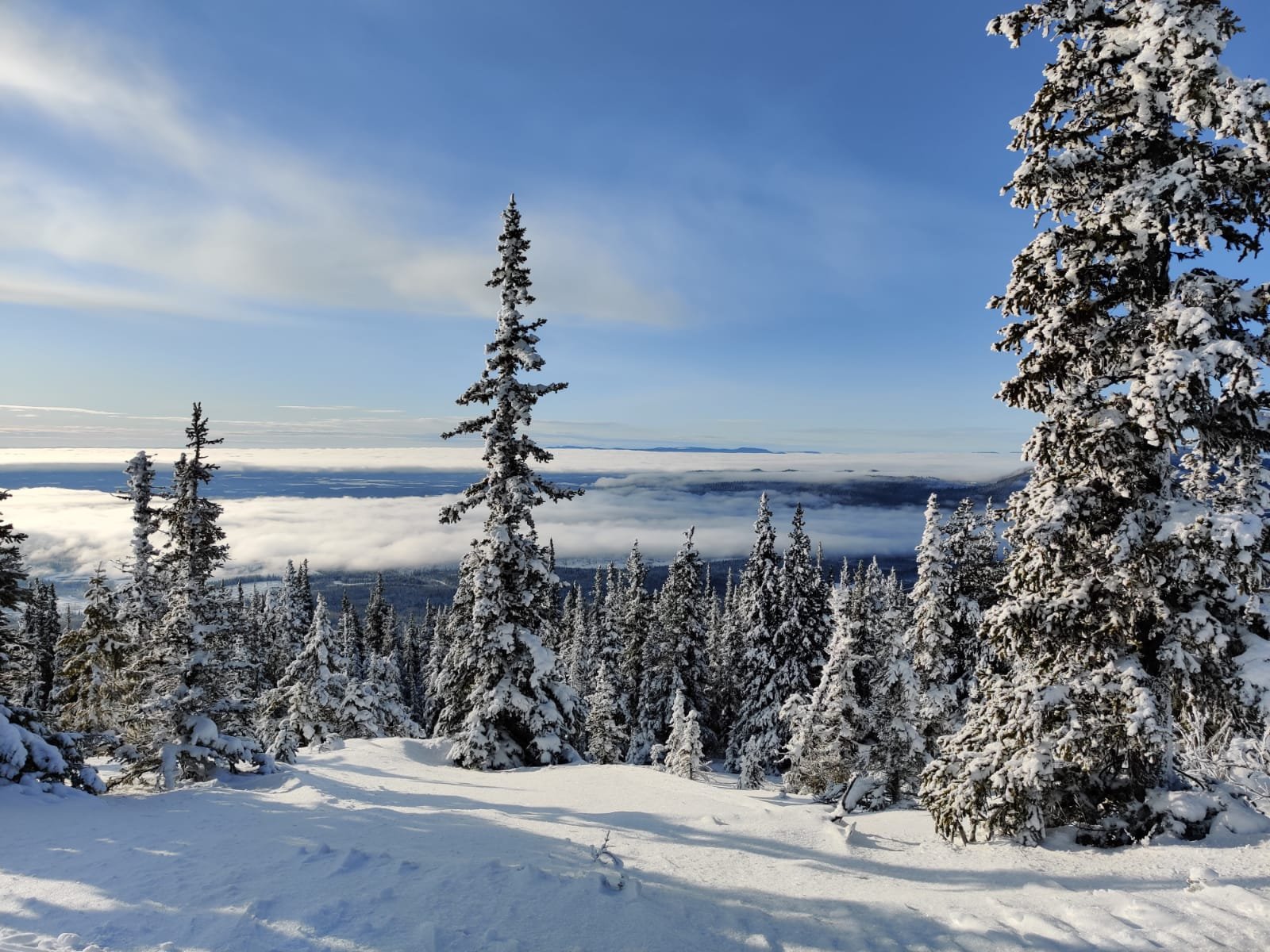 Winter scenery at Murray Ridge in British Columbia, displaying a bustling winter sports scene at a ski resort set against the backdrop of a snowy mountain.