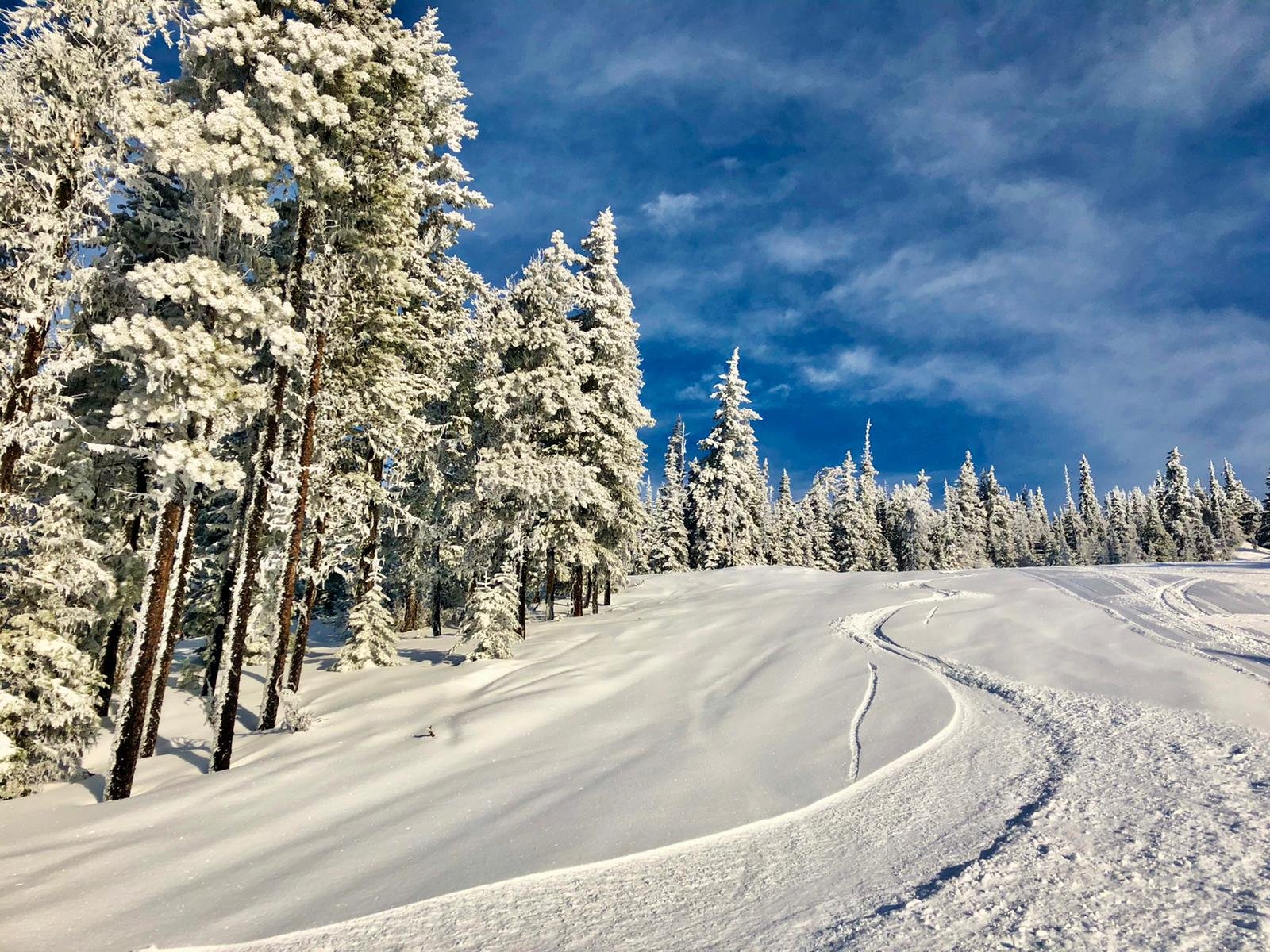 Winter sports enthusiasts enjoy a day at Murray Ridge in Fort St James, British Columbia, Canada, amidst stunning winter scenery with pristine snow and ski resort facilities.
